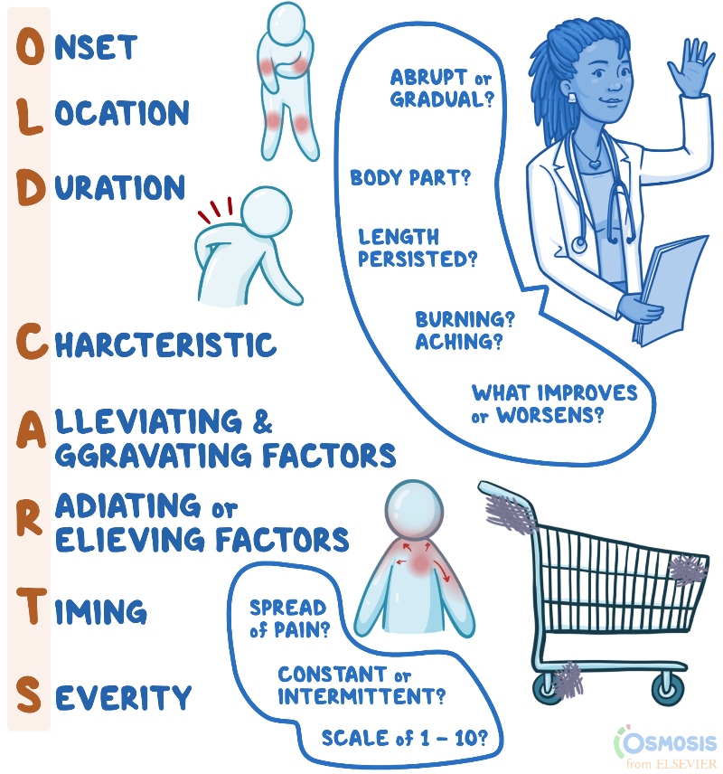 Onset
Location
Duration
Character
Aggravating factors
Relieving factors
Timing
Severity